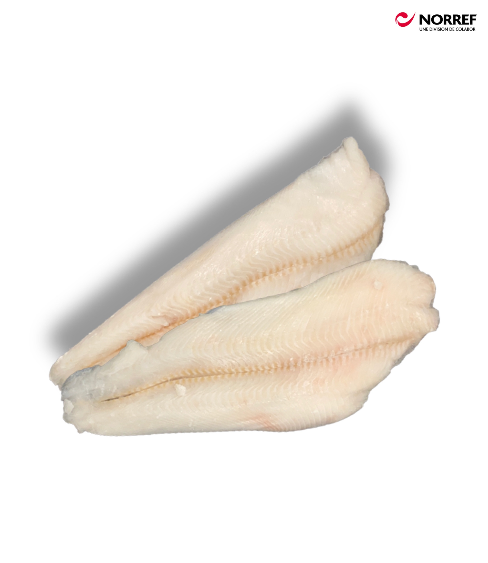 Filet de Turbot GROENLAND 8/16Oz CAISSE DE 15 LIVRES