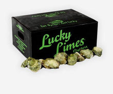 Charger l&#39;image dans la galerie, Huîtres Lucky Limes IPE 100ct - DE RETOUR AU PRINTEMPS
